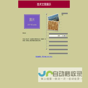 技术文章展示
